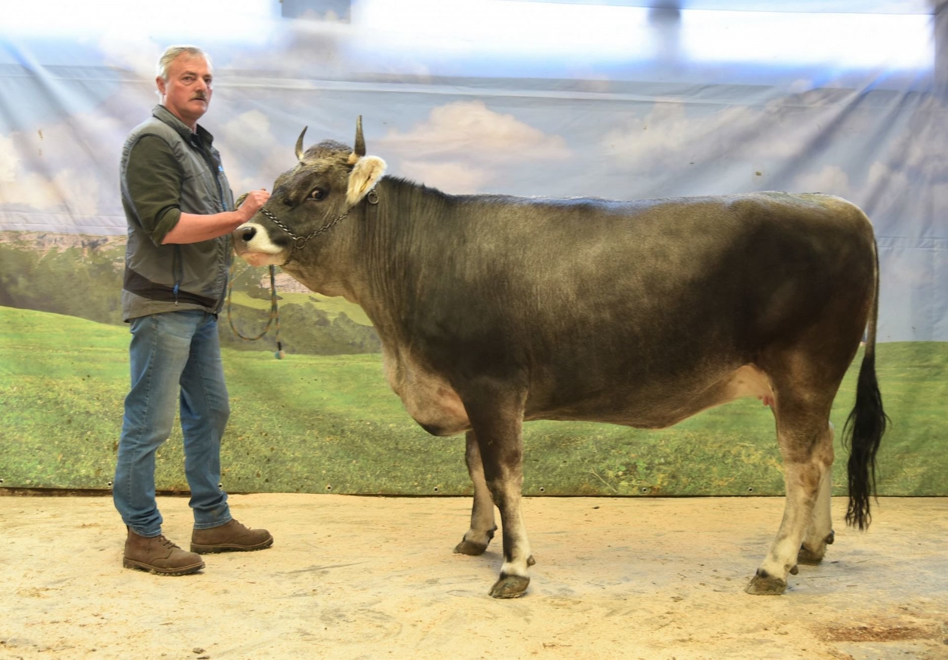 Versteigerungsbericht Grauvieh, Holstein und Pinzgauer vom 04. Mai