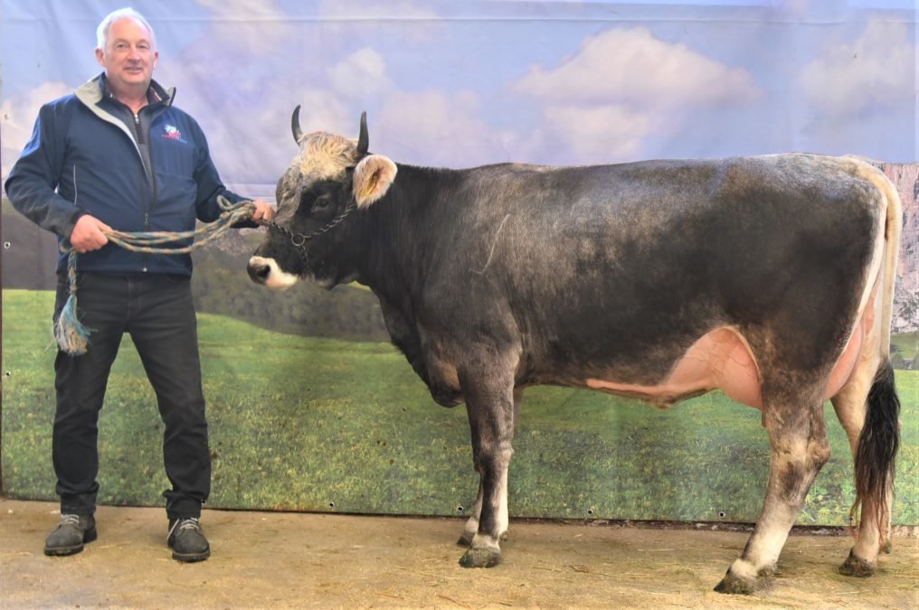 Versteigerungsbericht Grauvieh, Holstein, Pinzgauer vom 01. Dezember 2022