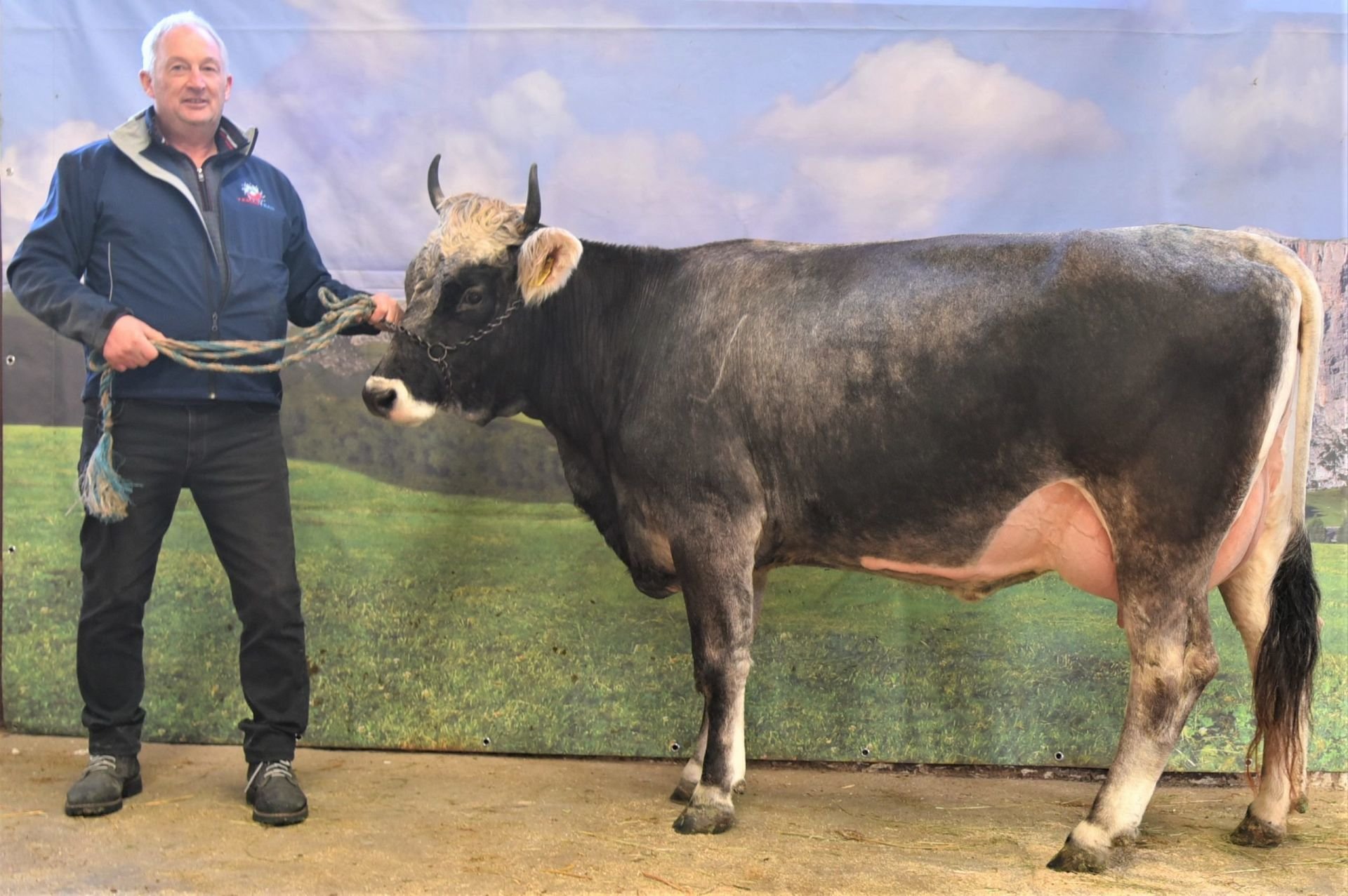 Versteigerungsbericht Grauvieh, Holstein, Pinzgauer vom 01. Dezember 2022