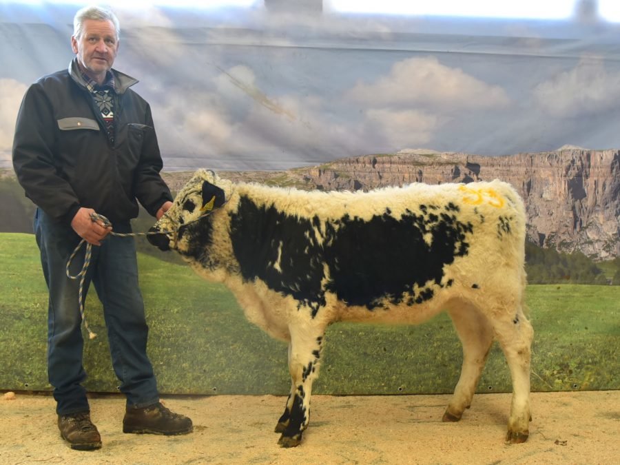 Versteigerungsbericht vom 8. Jänner 2026 in Bozen