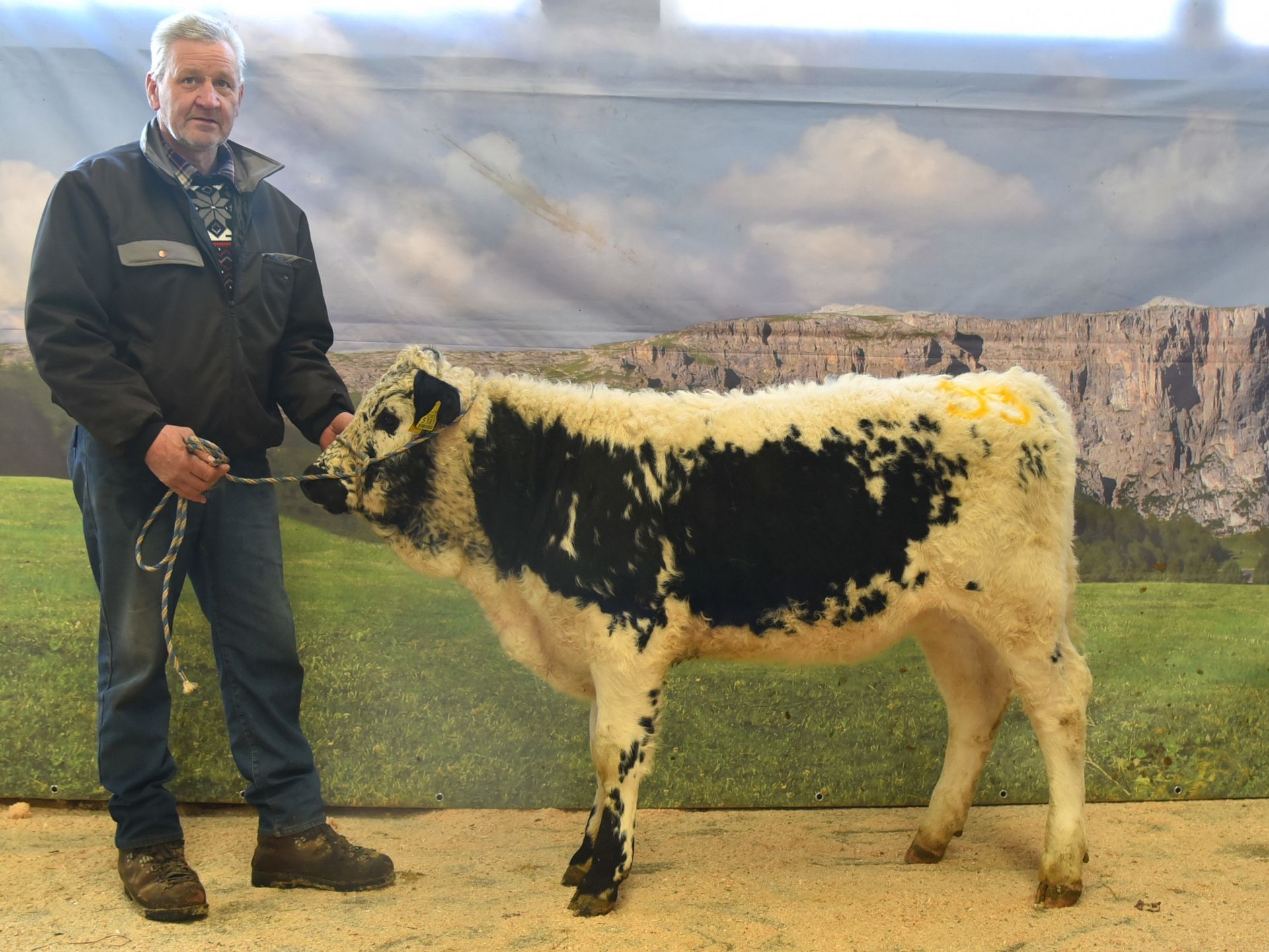 Versteigerungsbericht vom 8. Jänner 2026 in Bozen