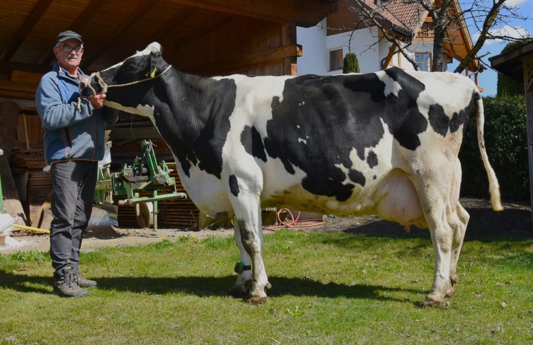 Über 100.000 Liter Lebensleistung