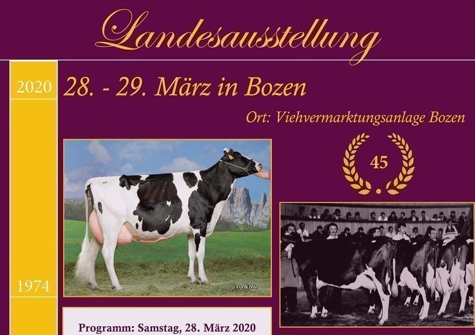 Landesausstellung der Grauvieh- und Holsteinrasse