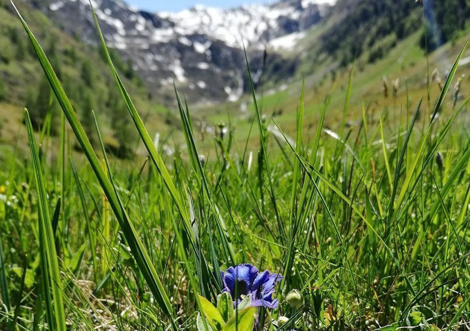 Verlosung Landesausstellung