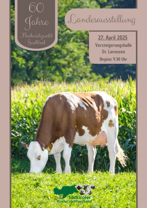 Fleckvieh Landesausstellung 27. April 2025