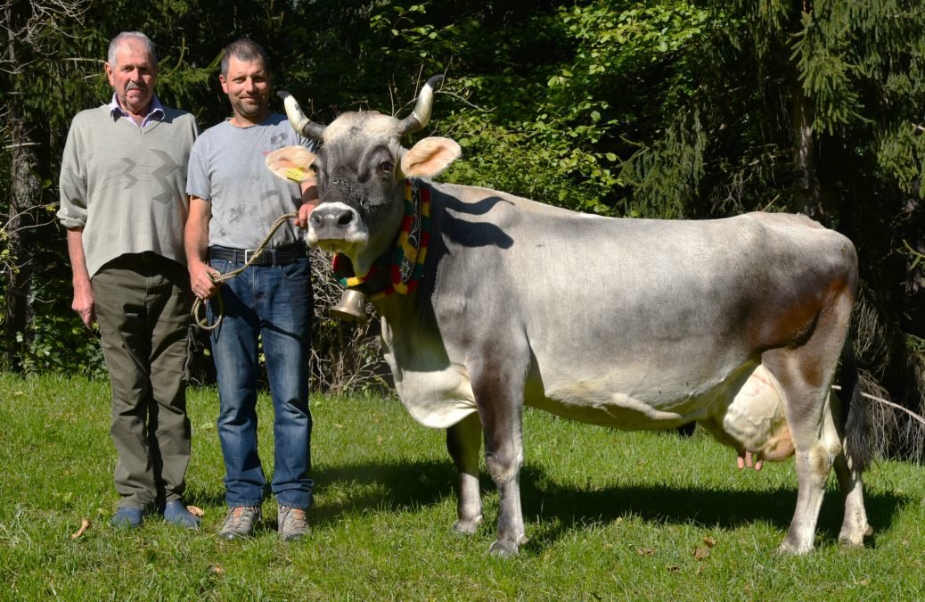 Über 70.000 Liter Lebensleistung