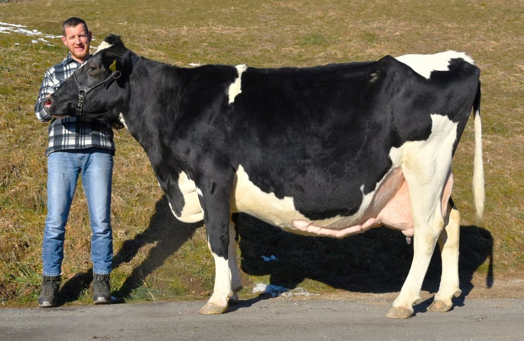 Über 100.000 Liter Lebensleistung