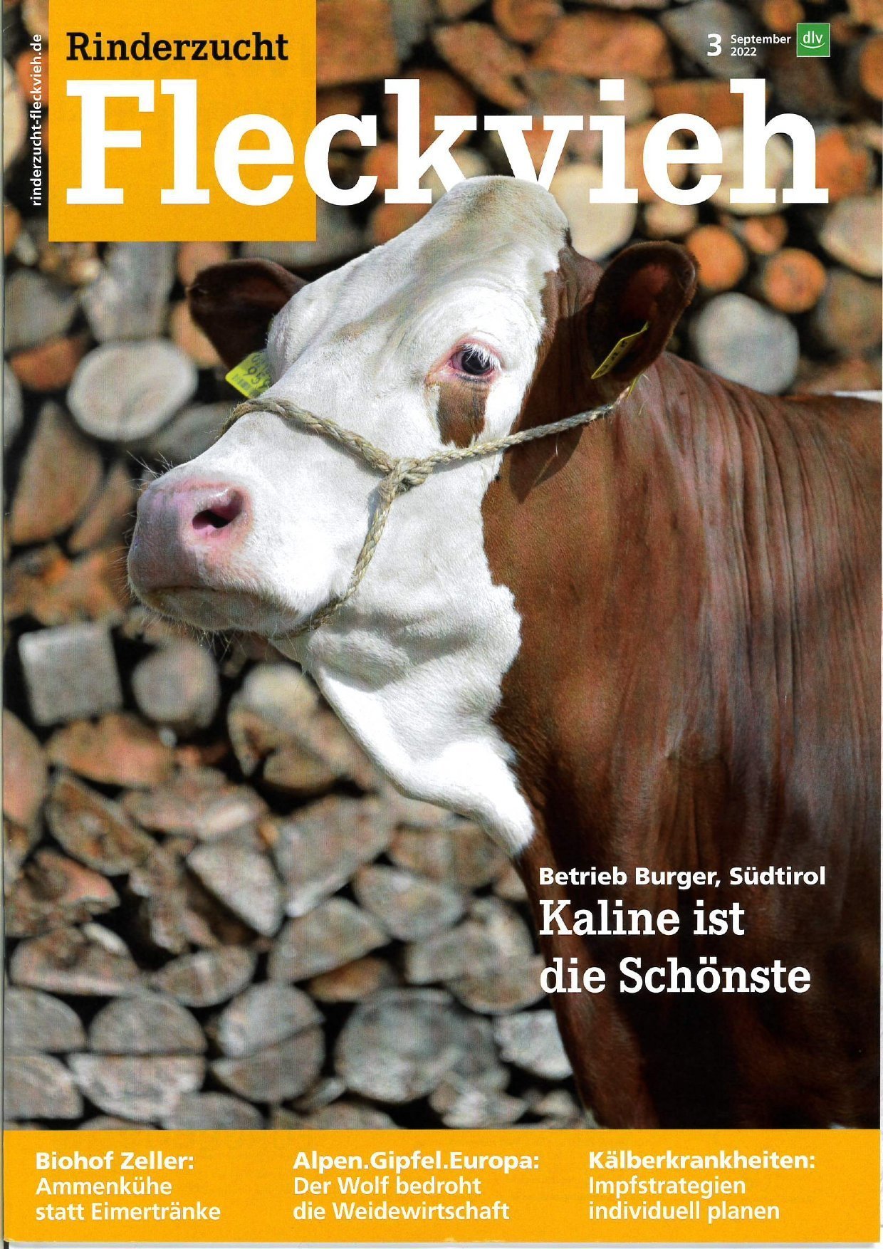 Familie Burger in der aktuellen Fleckvieh-Zeitschrift