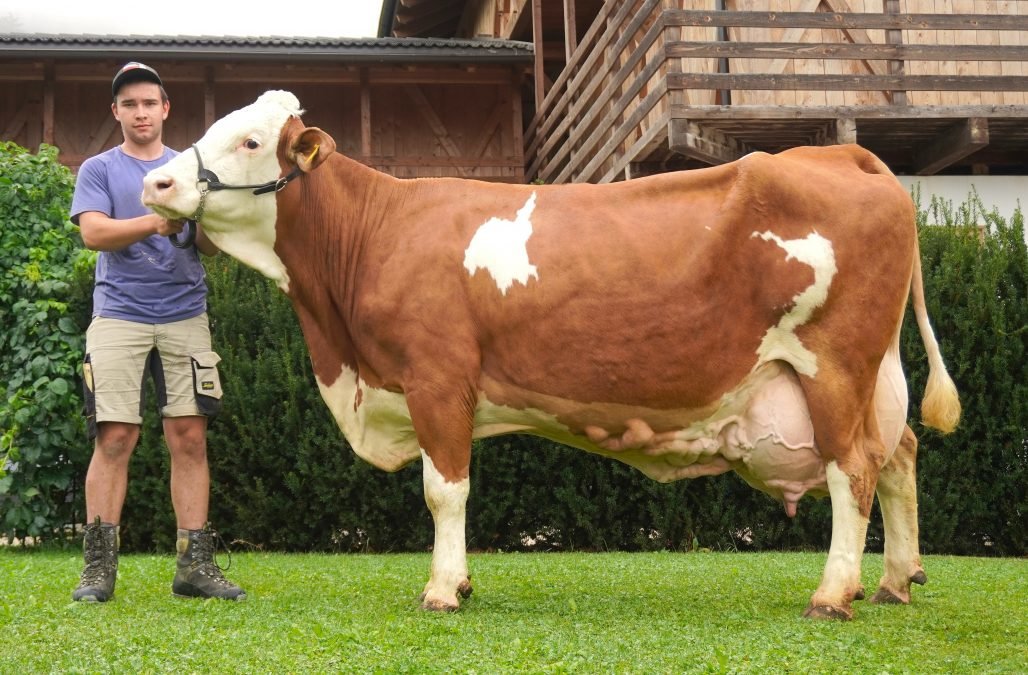 Über 100.000 Liter Lebensleistung