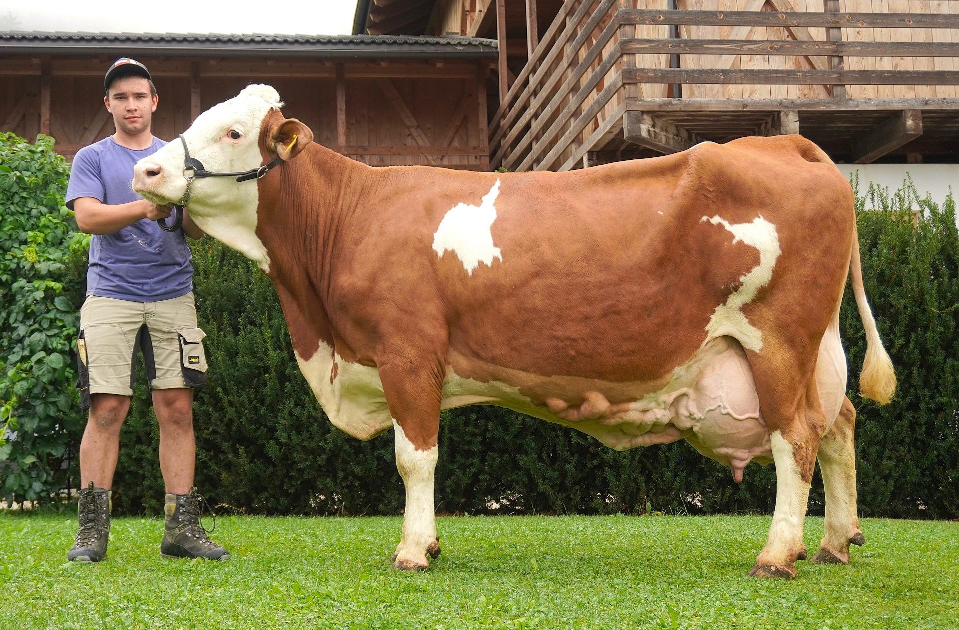 Über 100.000 Liter Lebensleistung
