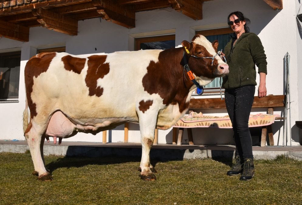 Über 100.000 Liter Lebensleistung