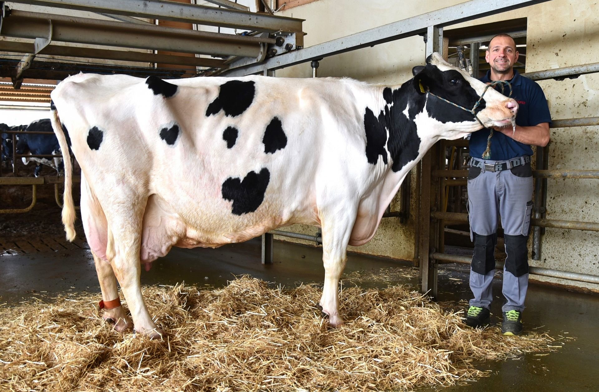 Über 100.000 Liter Lebensleistung