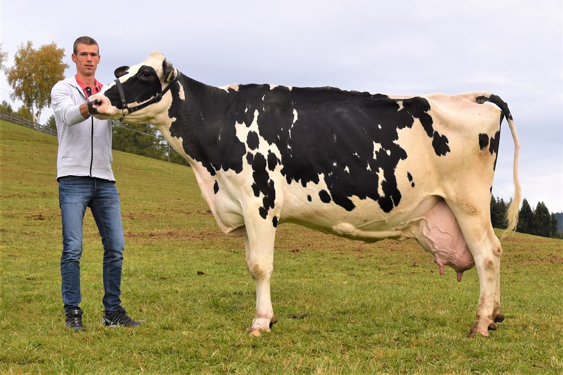 Über 100.000 kg Lebensleistung