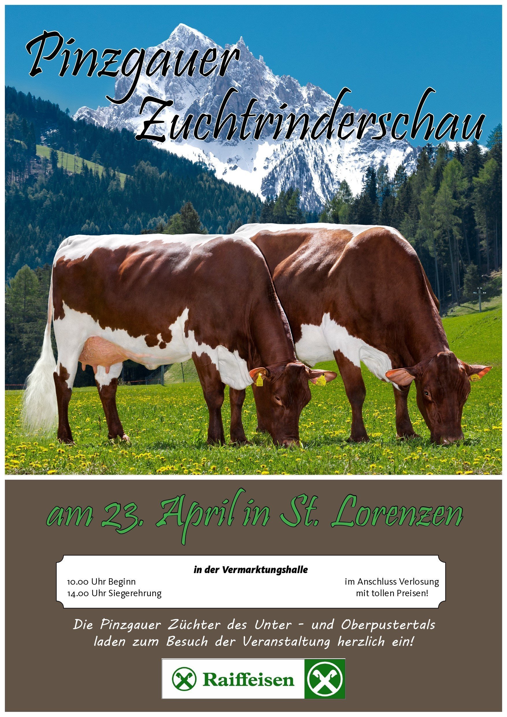 Pinzgauer-Zuchtrinderschau am 23. April 2022