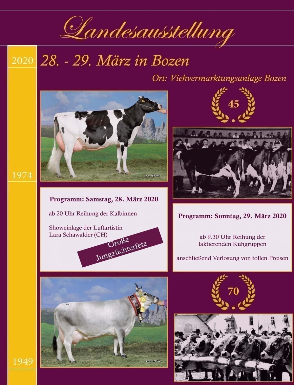 Landesausstellung der Grauvieh- und Holsteinrasse