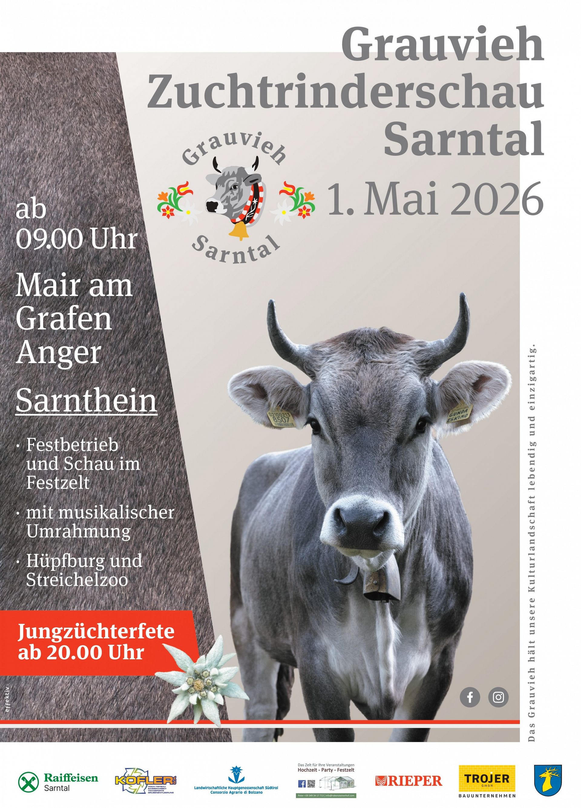 Grauvieh Zuchtrinderschau Sarntal am 1. Mai 2026
