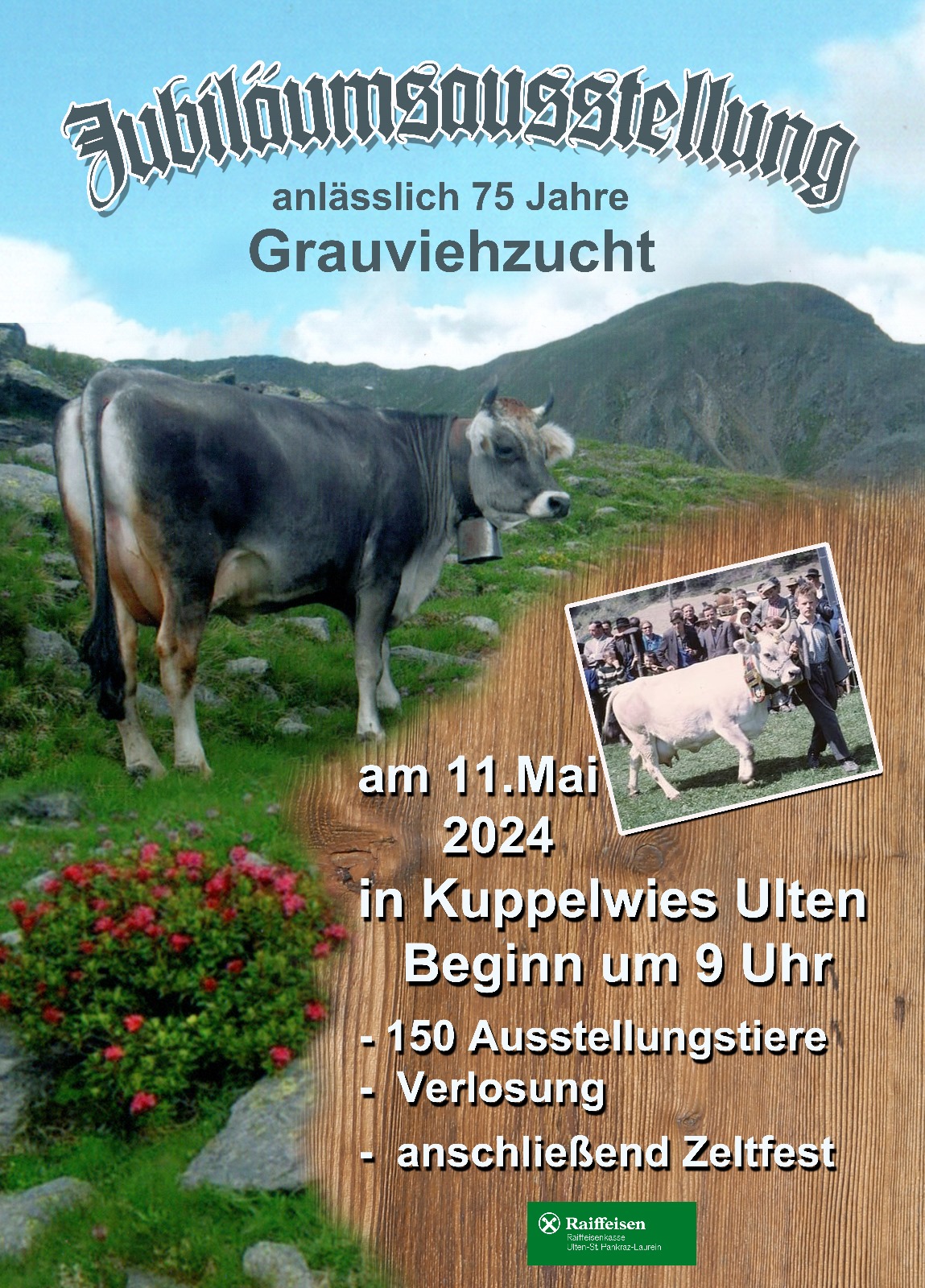 JUBILÄUMSAUSSTELLUNG 75 JAHRE GRAVIEHZUCHT ULTEN AM 11. MAI 2024