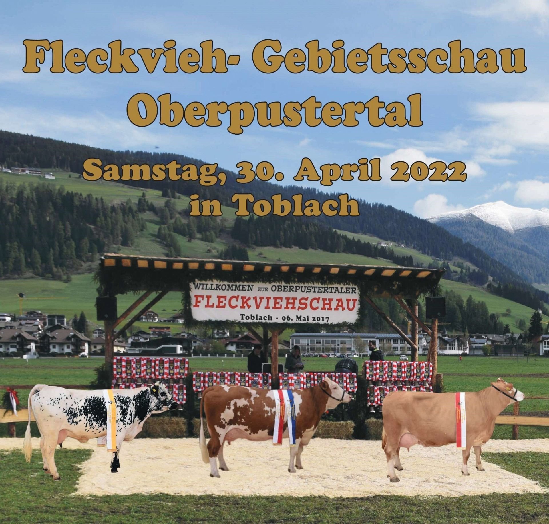 Gebietsschau der Rassen Fleckvieh und Pustertaler Sprinzen am 30. April