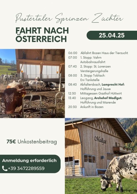 Ausflug für die Sprinzen-Züchter