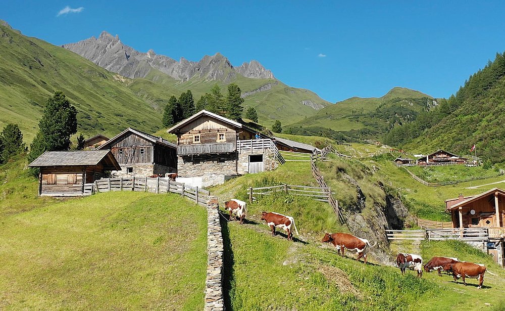 Pinzgauer-Almwandertag 2025