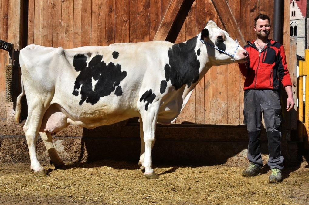 Über 100.000 Liter Lebensleistung
