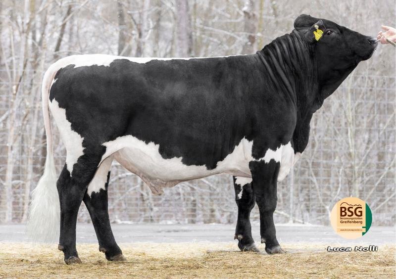 Rauhnacht PZS AT962321688