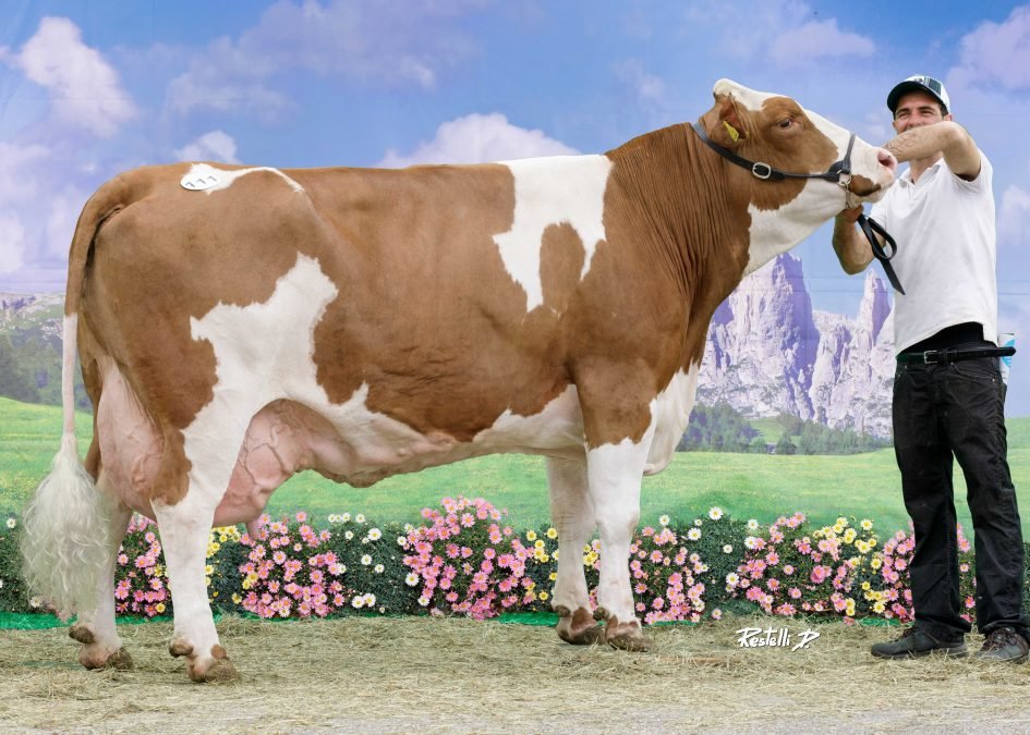 Über 100.000 Liter Lebensleistung