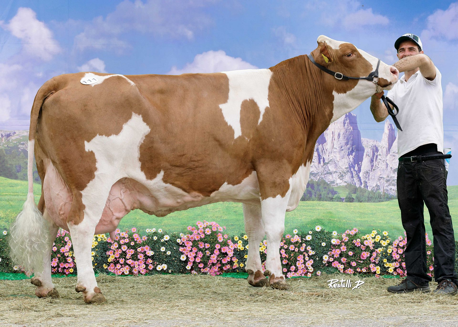 Über 100.000 Liter Lebensleistung