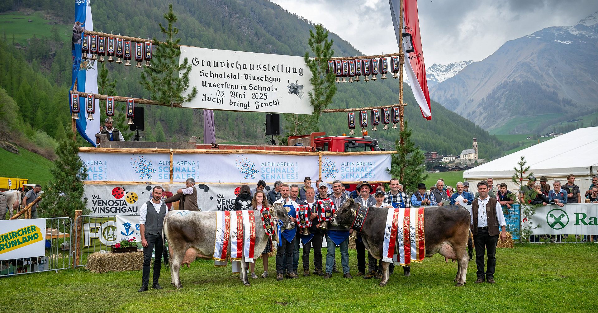 Reihung Jubiläumsausstellung – 50 Jahre Grauviehzucht Vinschgau