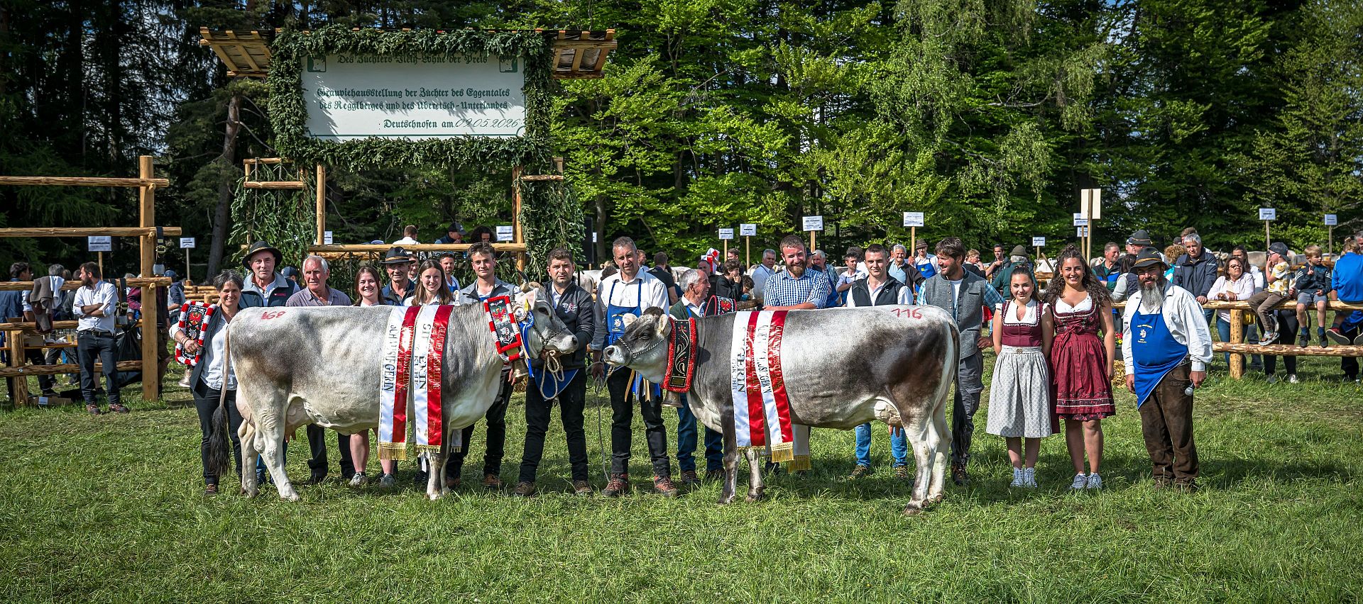 Reihung Grauvieh Ausstellung Eggental | Reggelberg | Unterland 9. Mai 2026