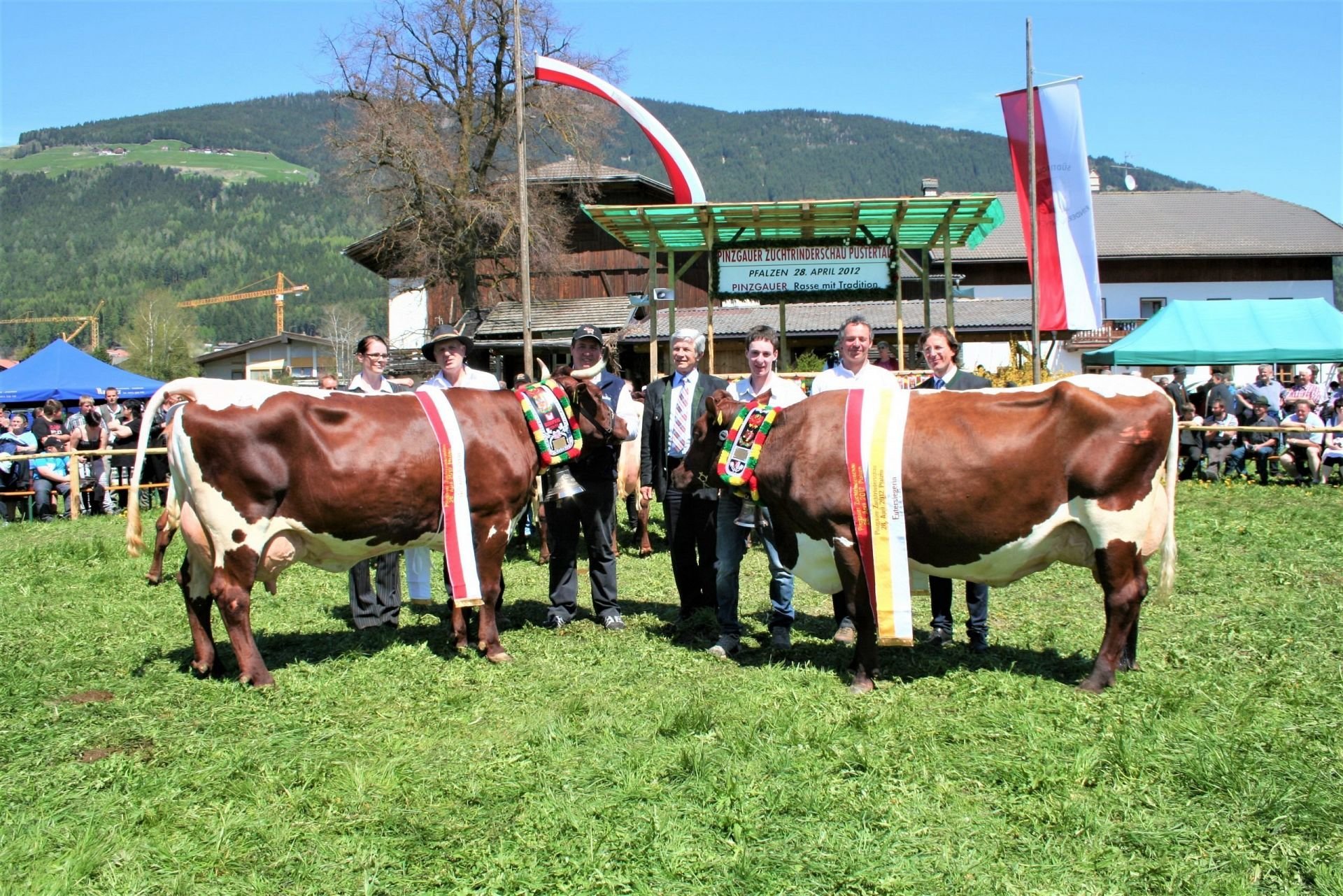 Pinzgauer Zuchtrinderschau des Unter-und Oberpustertals