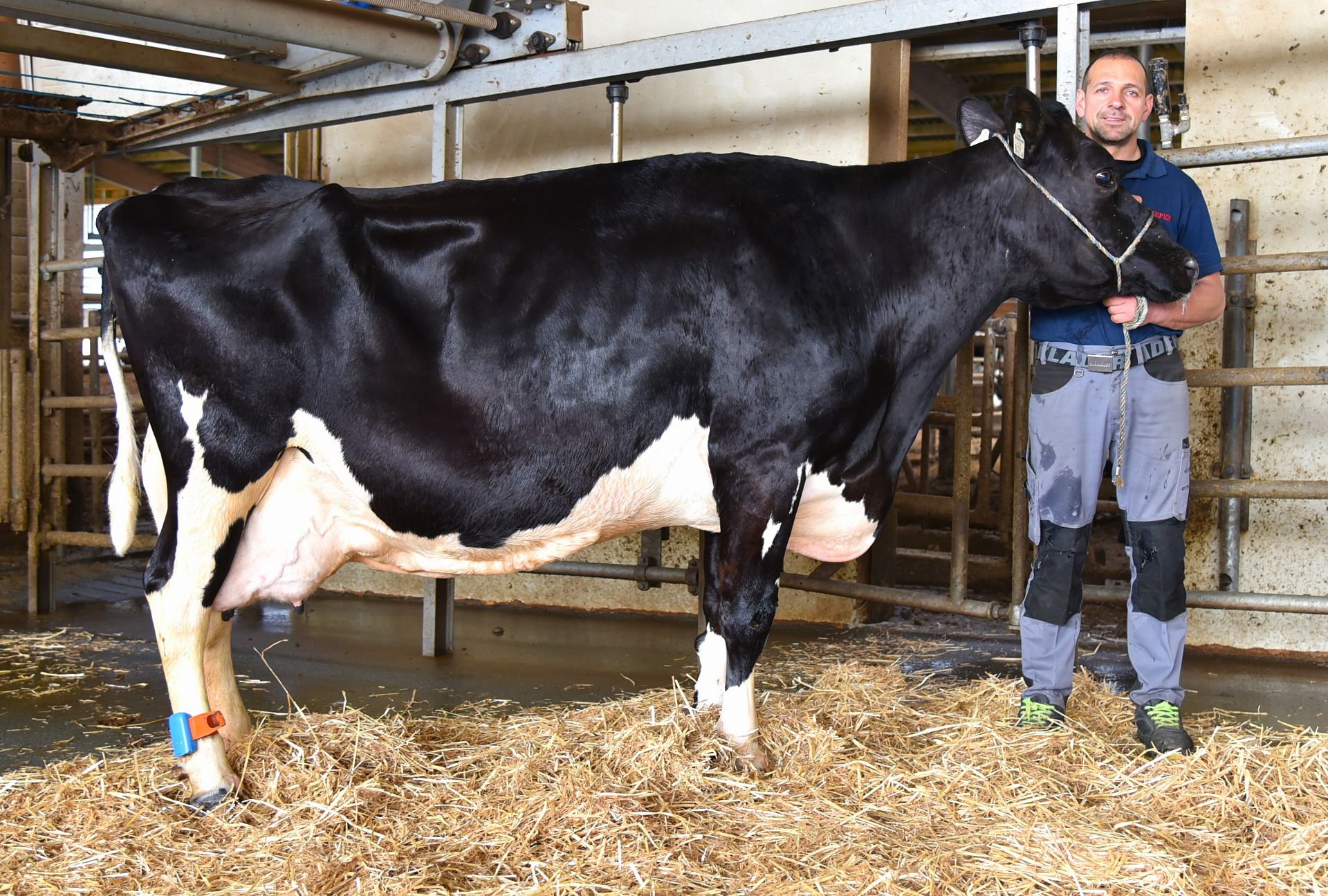 Über 100.000 Liter Lebensleistung