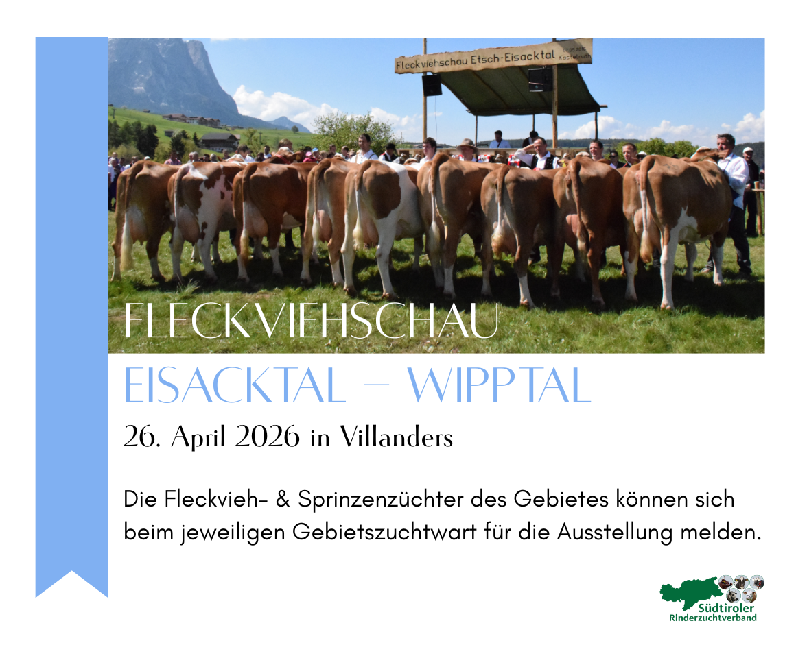 Fleckviehgebietsschau Eisacktal-Wipptal 26. April 2026