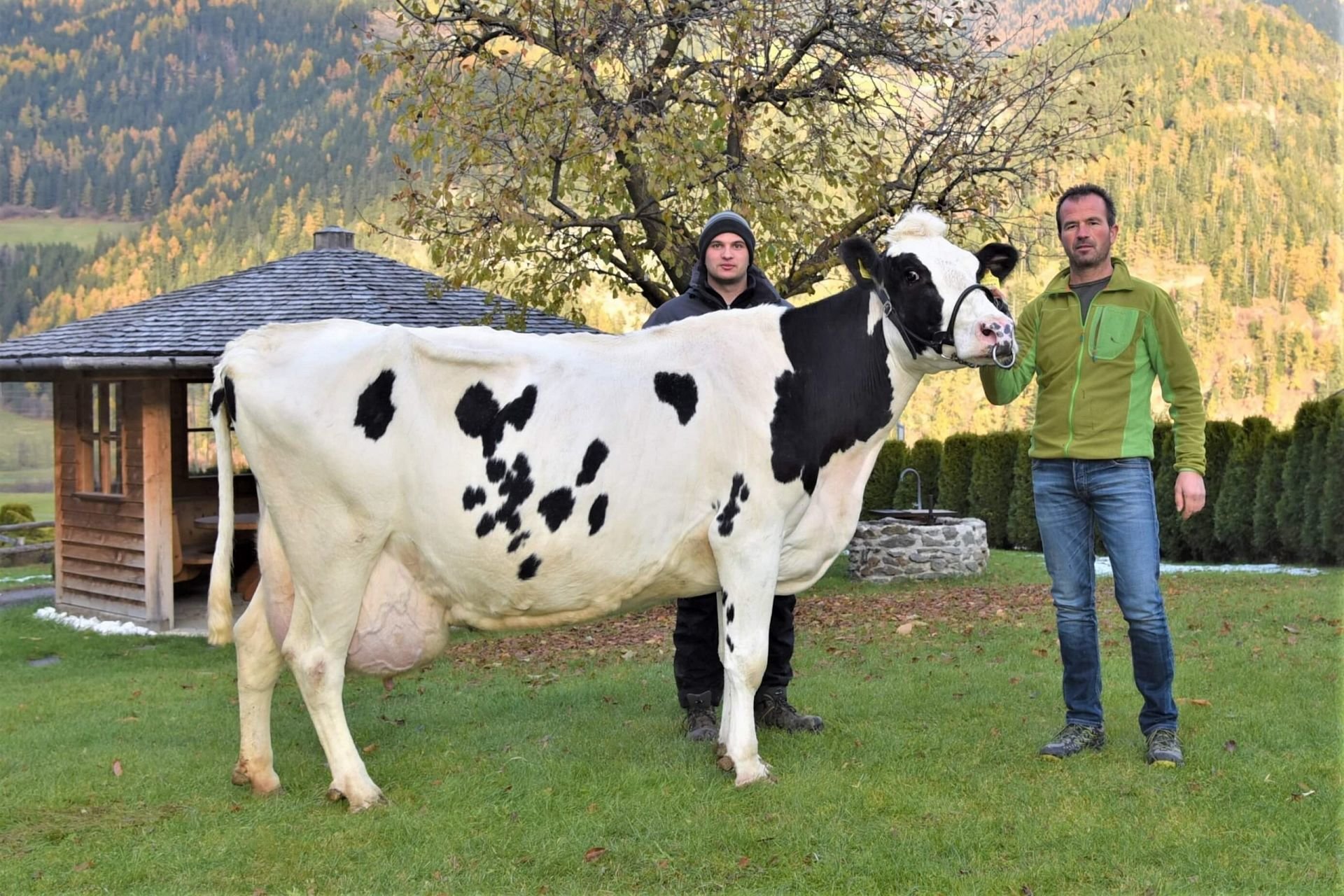 Über 100.000 Liter Lebensleistung! Holsteinkuh Andrea