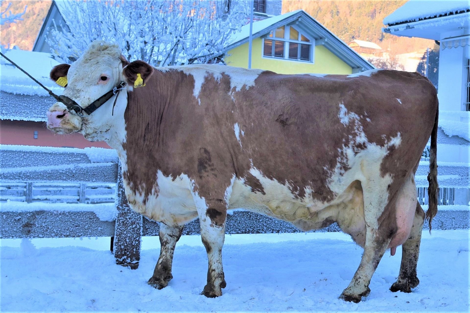Über 100.000 Liter Lebensleistung