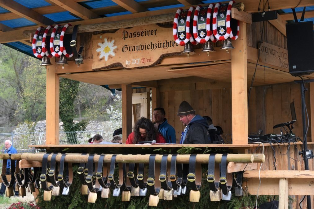 JUBILÄUMSSCHAU DER GRAUVIEHJUNGZÜCHTER/INNEN PASSEIER