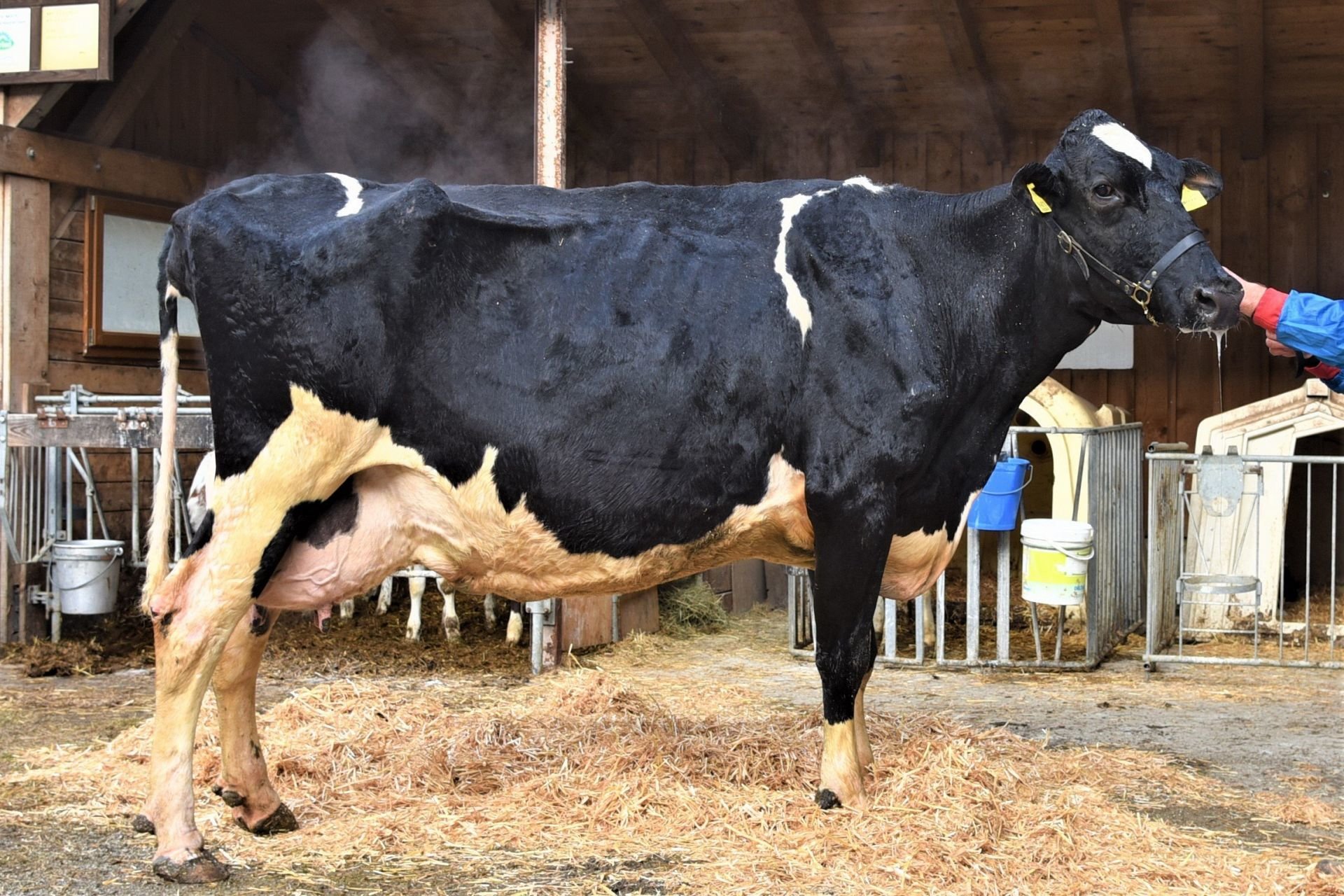 Über 100.000 Liter Lebensleistung
