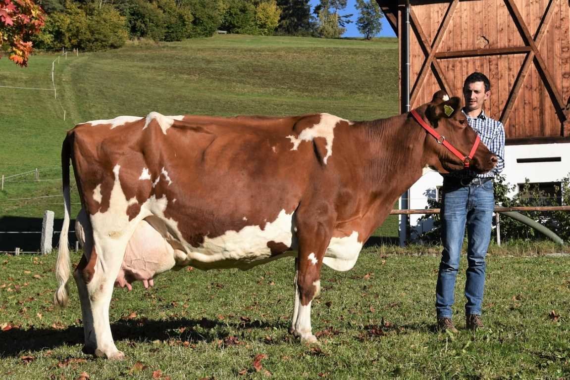Über 100.000 Liter Lebensleistung