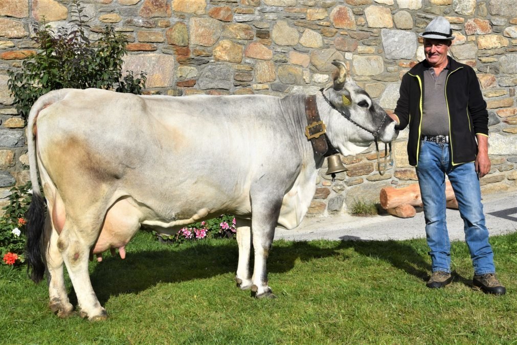 Über 70.000 Liter Lebensleistung