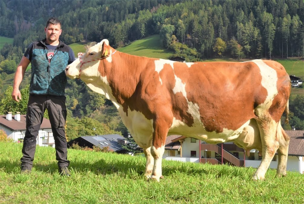 Über 100.000 Liter Lebensleistung