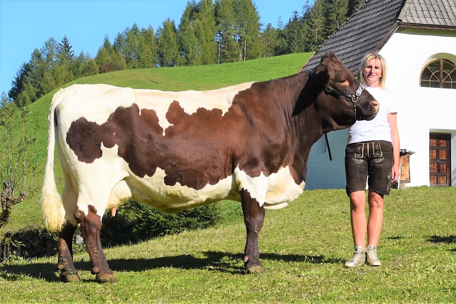 Über 70.000 Liter Lebensleistung