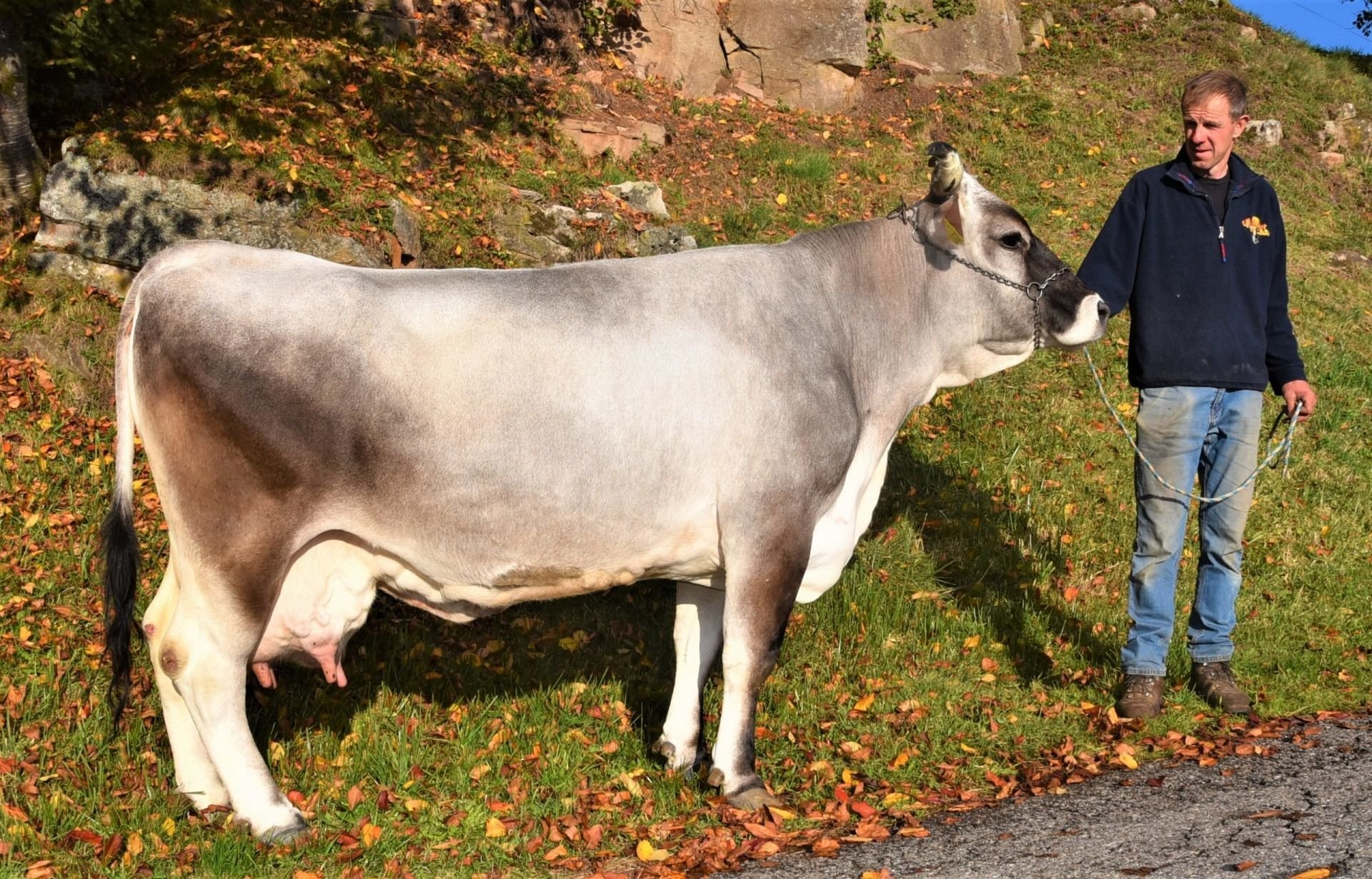 Über 70.000 Kilogramm Lebensleistung