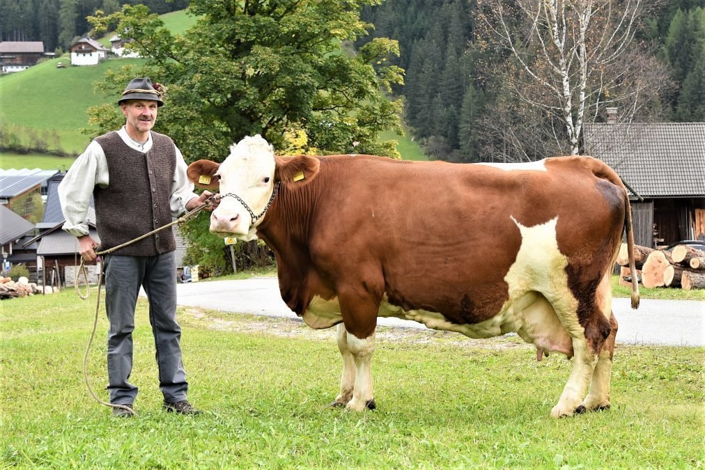 Über 100.000 Liter Lebensleistung