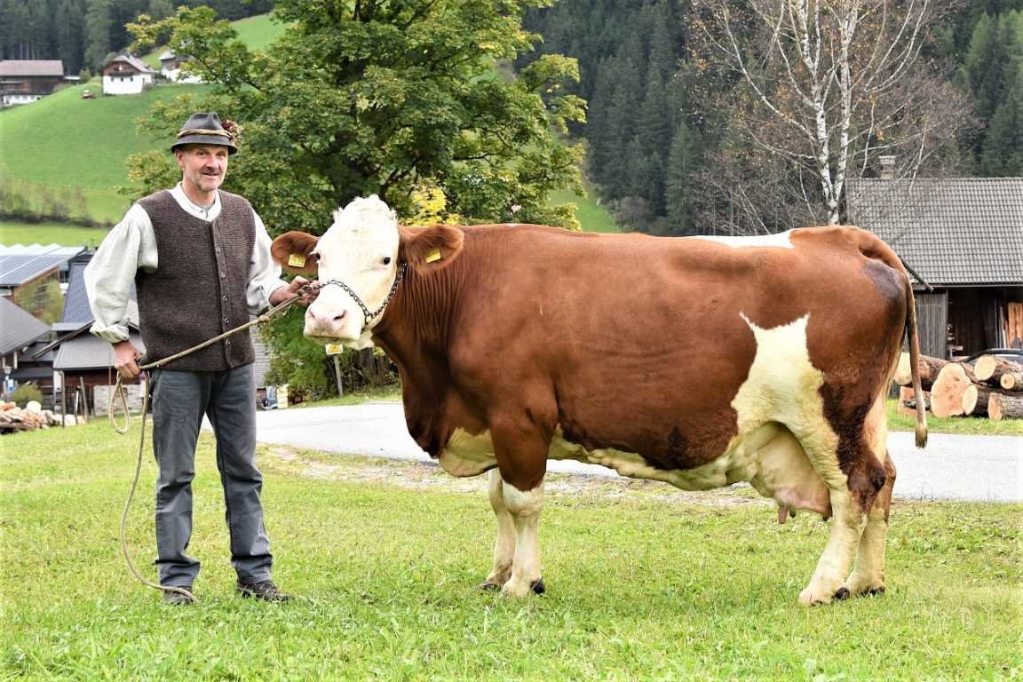 Über 100.000 Liter Lebensleistung