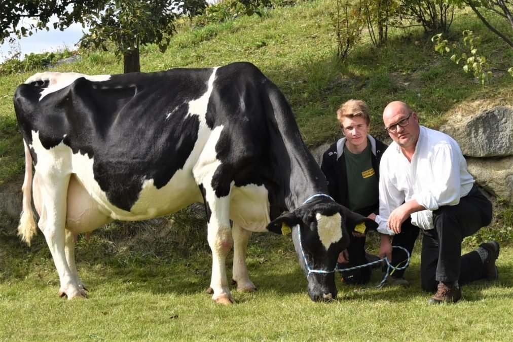 Über 100.000 Liter Lebensleistung – Im Porträt Holsteinkuh Rami