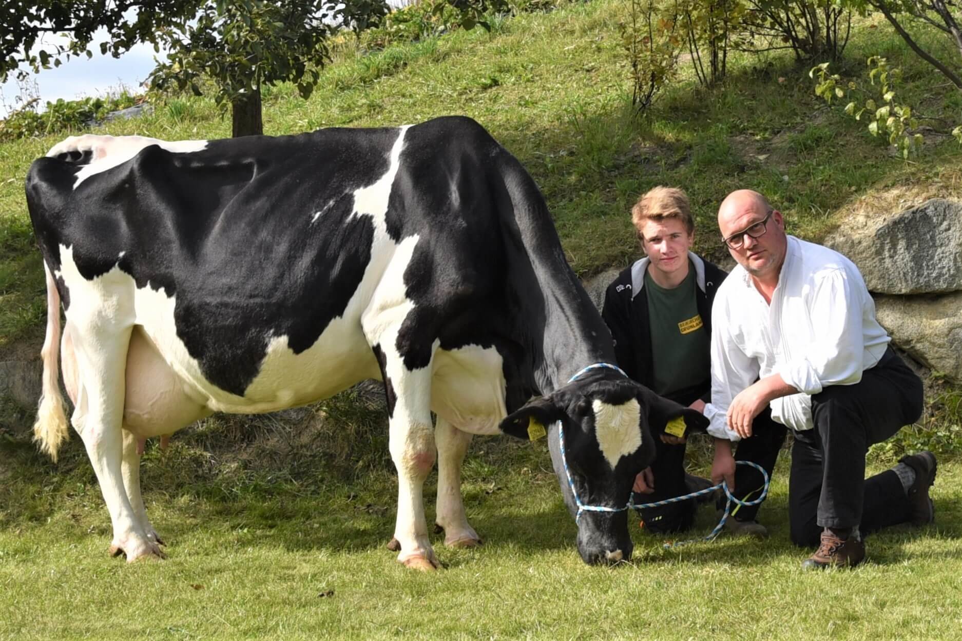 Über 100.000 Liter Lebensleistung – Im Porträt Holsteinkuh Rami