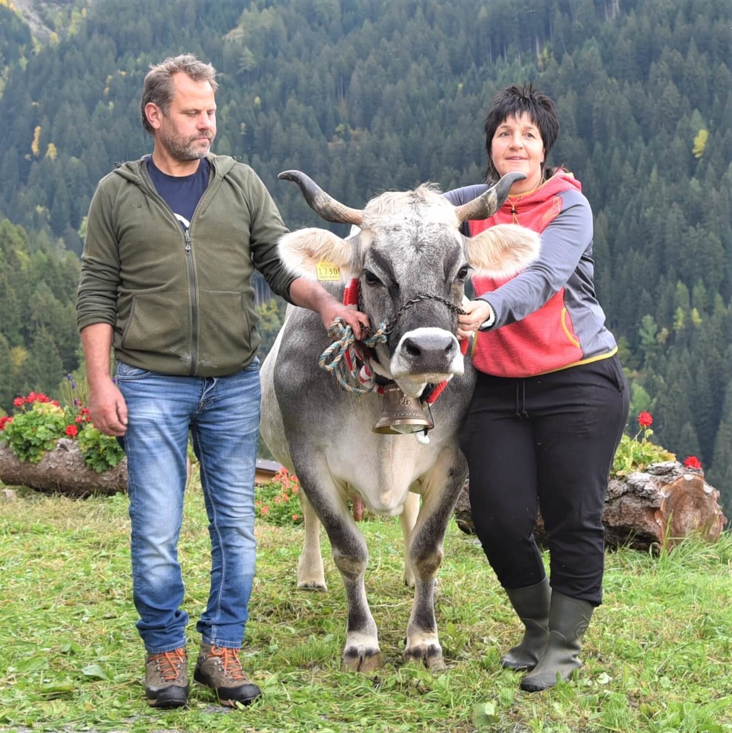 Über 70.000 Liter Lebensleistung – Grauviehkuh Wera