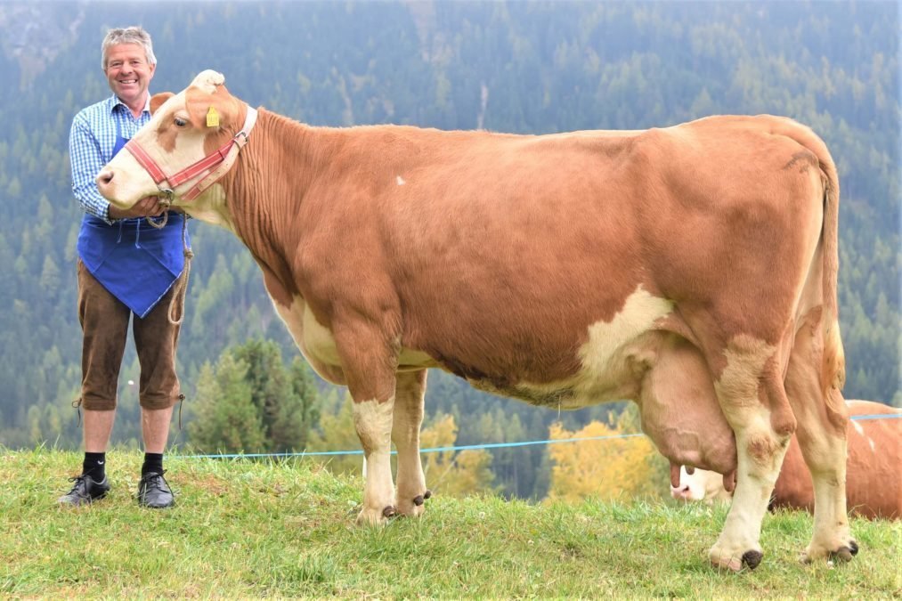 Über 100.000 kg Lebensleistung