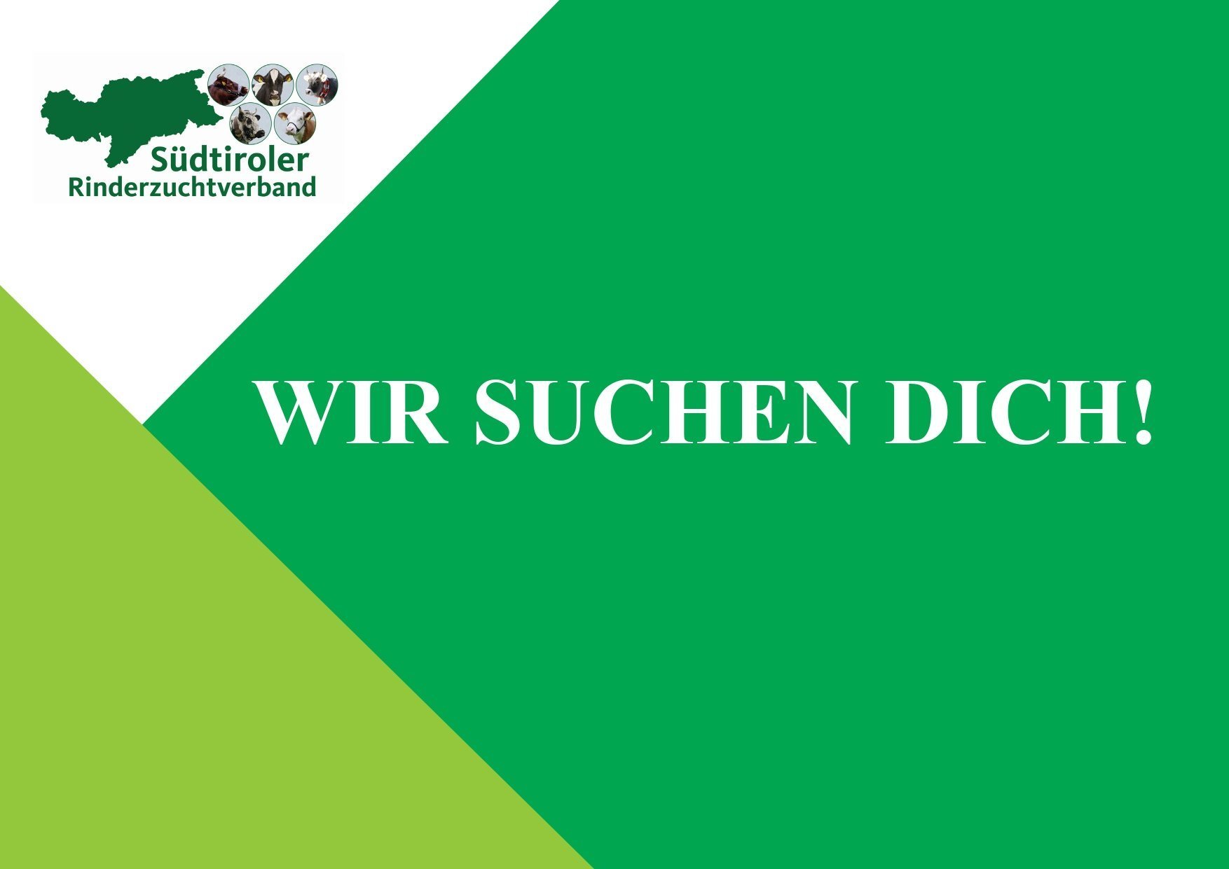 WIR SUCHEN DICH!
