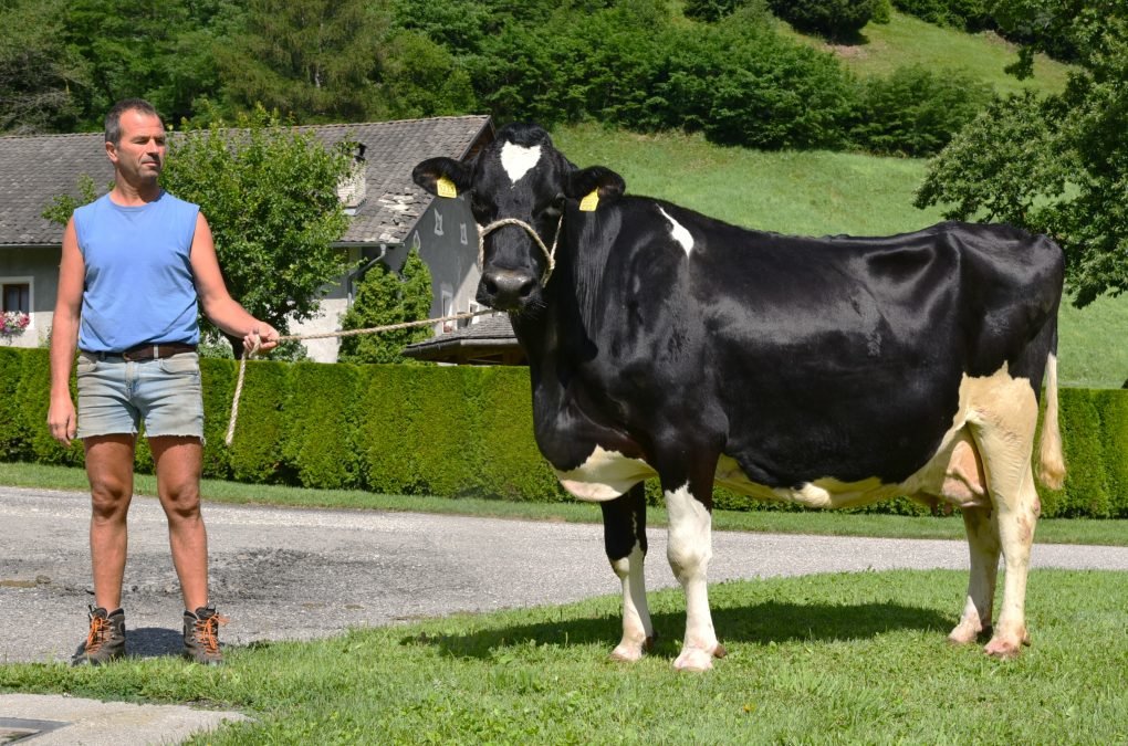 Über 100.000 Liter Lebensleistung